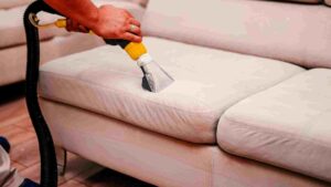 Upholstery Cleaning​